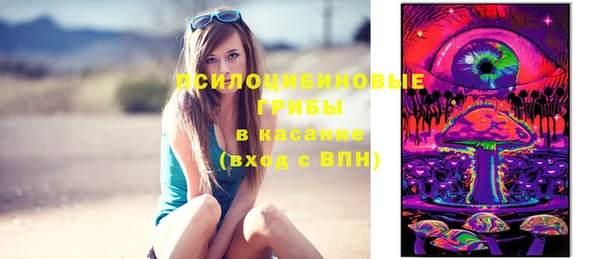 прущие грибы Арсеньев