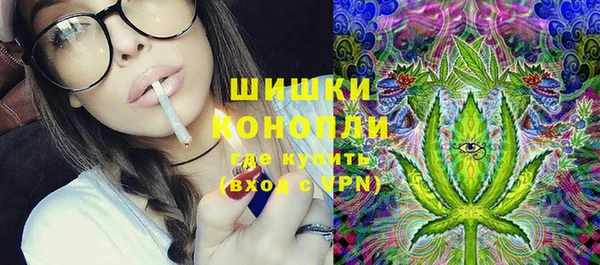 прущие грибы Арсеньев