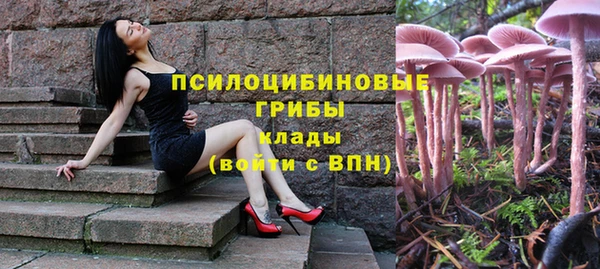 твердый Армянск