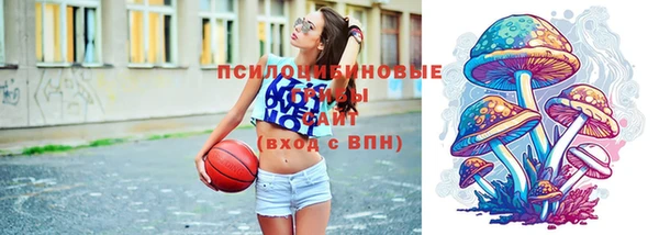 прущие грибы Арсеньев