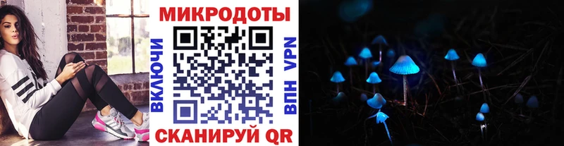 Псилоцибиновые грибы мицелий  Борзя 